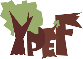 YPEF (Young People In European Forests)