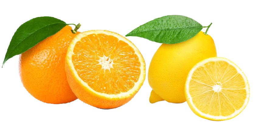 Sběr citrusové kůry (18. 6. 2021)
