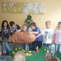 palecek-8.jpg