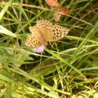 dscn3832.jpg