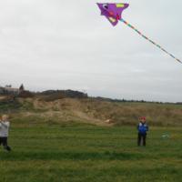dscn4383.jpg
