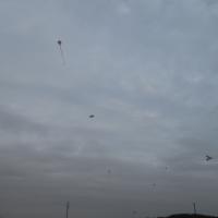 dscn4388.jpg