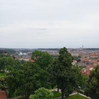 1719234034440.jpg